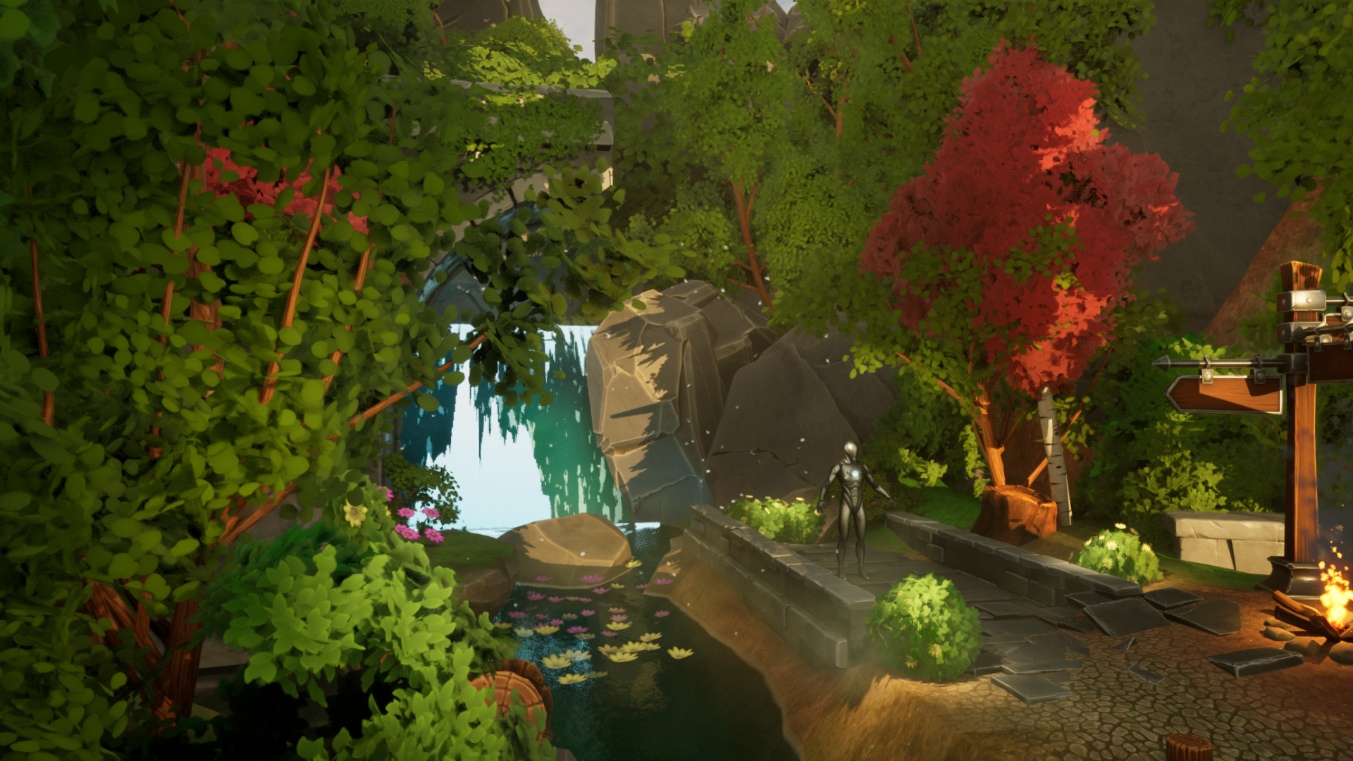 Cozy Forest